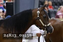 24R13_01458 thumbnail