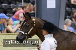 24R13_01459 thumbnail