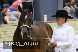 24R13_01461 thumbnail