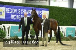 24R13_01462 thumbnail