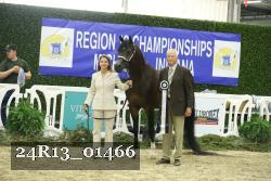 24R13_01466 thumbnail