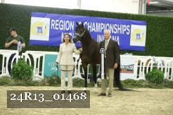 24R13_01468 thumbnail