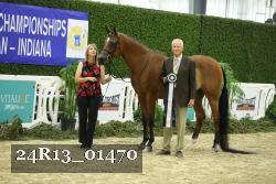 24R13_01470 thumbnail