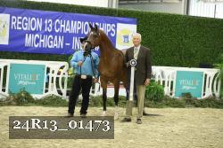 24R13_01473 thumbnail