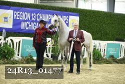 24R13_01477 thumbnail