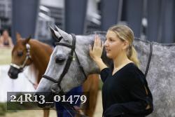 24R13_01479 thumbnail