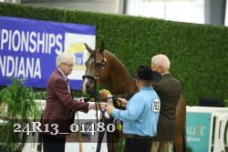 24R13_01480 thumbnail