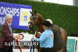 24R13_01481 thumbnail