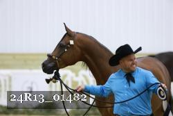 24R13_01482 thumbnail