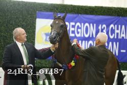 24R13_01487 thumbnail