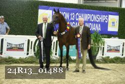 24R13_01488 thumbnail