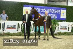 24R13_01489 thumbnail