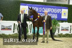 24R13_01490 thumbnail