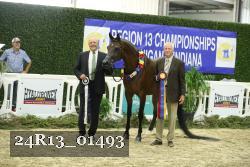24R13_01493 thumbnail