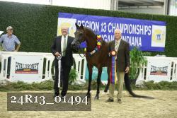 24R13_01494 thumbnail