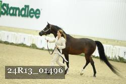 24R13_01496 thumbnail