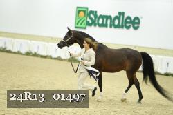 24R13_01497 thumbnail