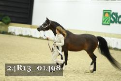 24R13_01498 thumbnail