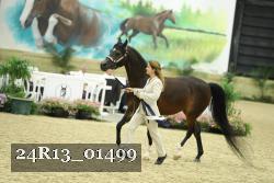 24R13_01499 thumbnail