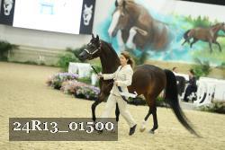 24R13_01500 thumbnail