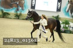 24R13_01501 thumbnail