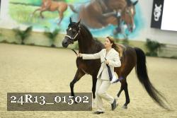24R13_01502 thumbnail