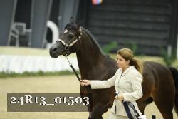 24R13_01503 thumbnail