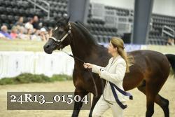 24R13_01504 thumbnail