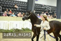 24R13_01505 thumbnail
