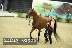 24R13_01506 thumbnail