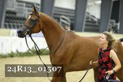 24R13_01507 thumbnail