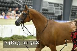 24R13_01508 thumbnail