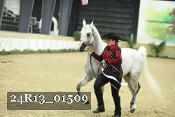 24R13_01509 thumbnail