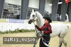 24R13_01510 thumbnail