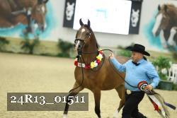 24R13_01511 thumbnail