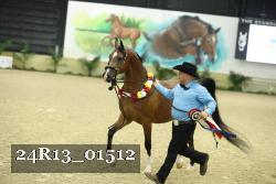 24R13_01512 thumbnail