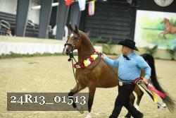 24R13_01513 thumbnail