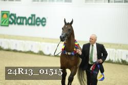 24R13_01515 thumbnail