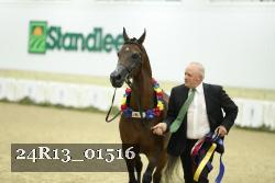 24R13_01516 thumbnail