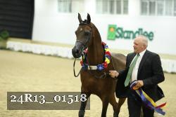 24R13_01518 thumbnail