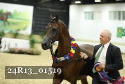 24R13_01519 thumbnail