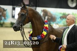 24R13_01520 thumbnail