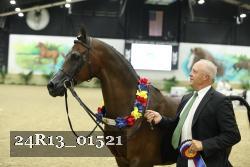 24R13_01521 thumbnail
