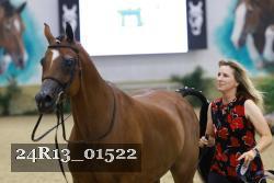 24R13_01522 thumbnail