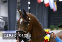 24R13_01524 thumbnail