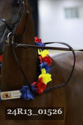 24R13_01526 thumbnail
