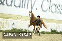 24R13_01528 thumbnail