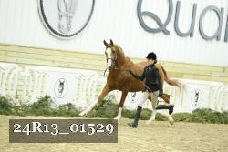 24R13_01529 thumbnail