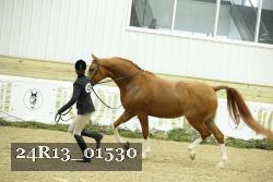 24R13_01530 thumbnail
