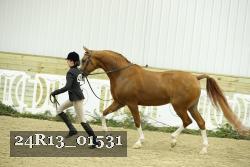 24R13_01531 thumbnail